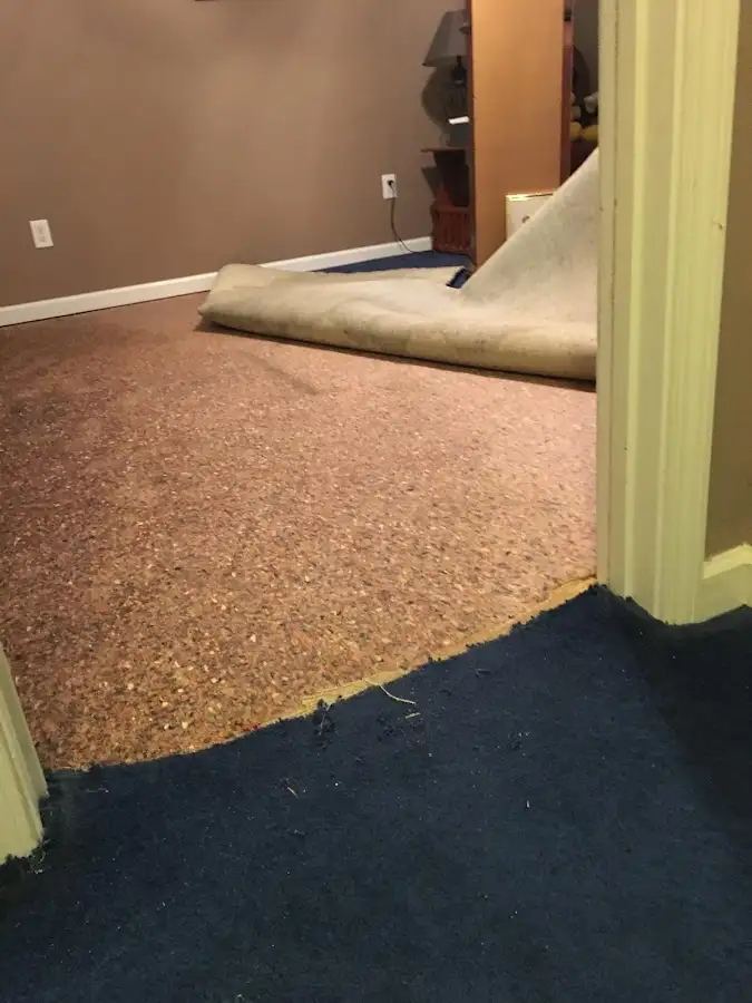 Carpet pad removal revealing water damage during Drying & Dehumidification in Benner