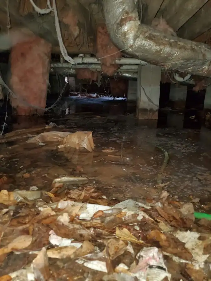 Crawl space flood assessment for Commercial Water Damage Restoration in Benner